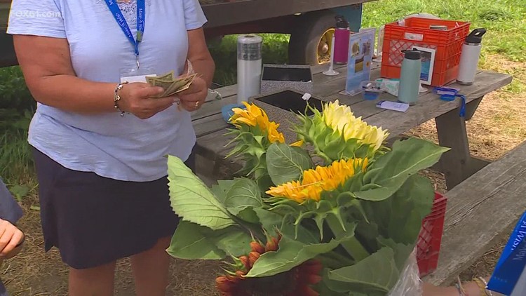 'Sunflowers for Wishes' tradition returns to support Make-A-Wish CT