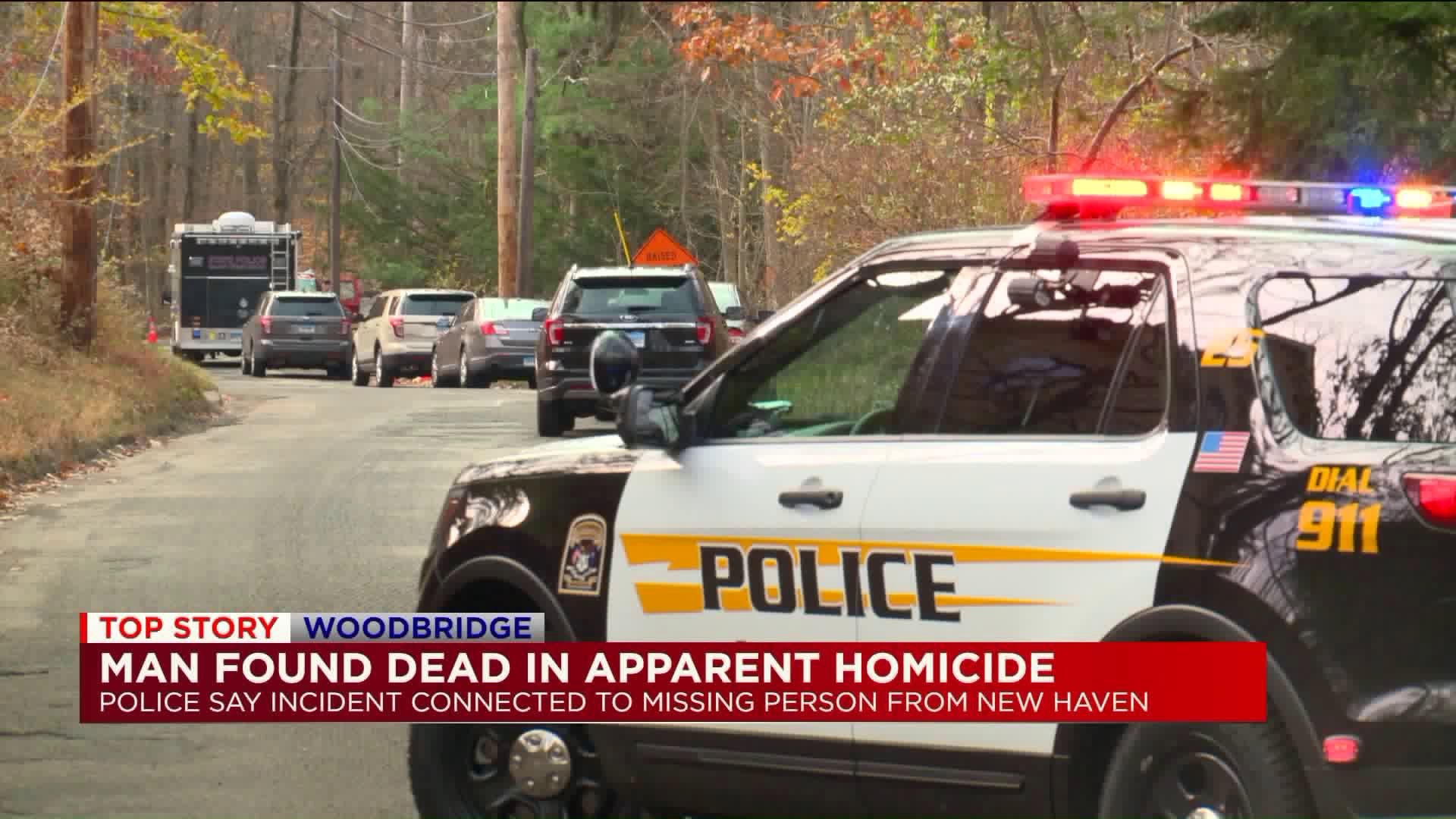 Woodbridge apparent homicide