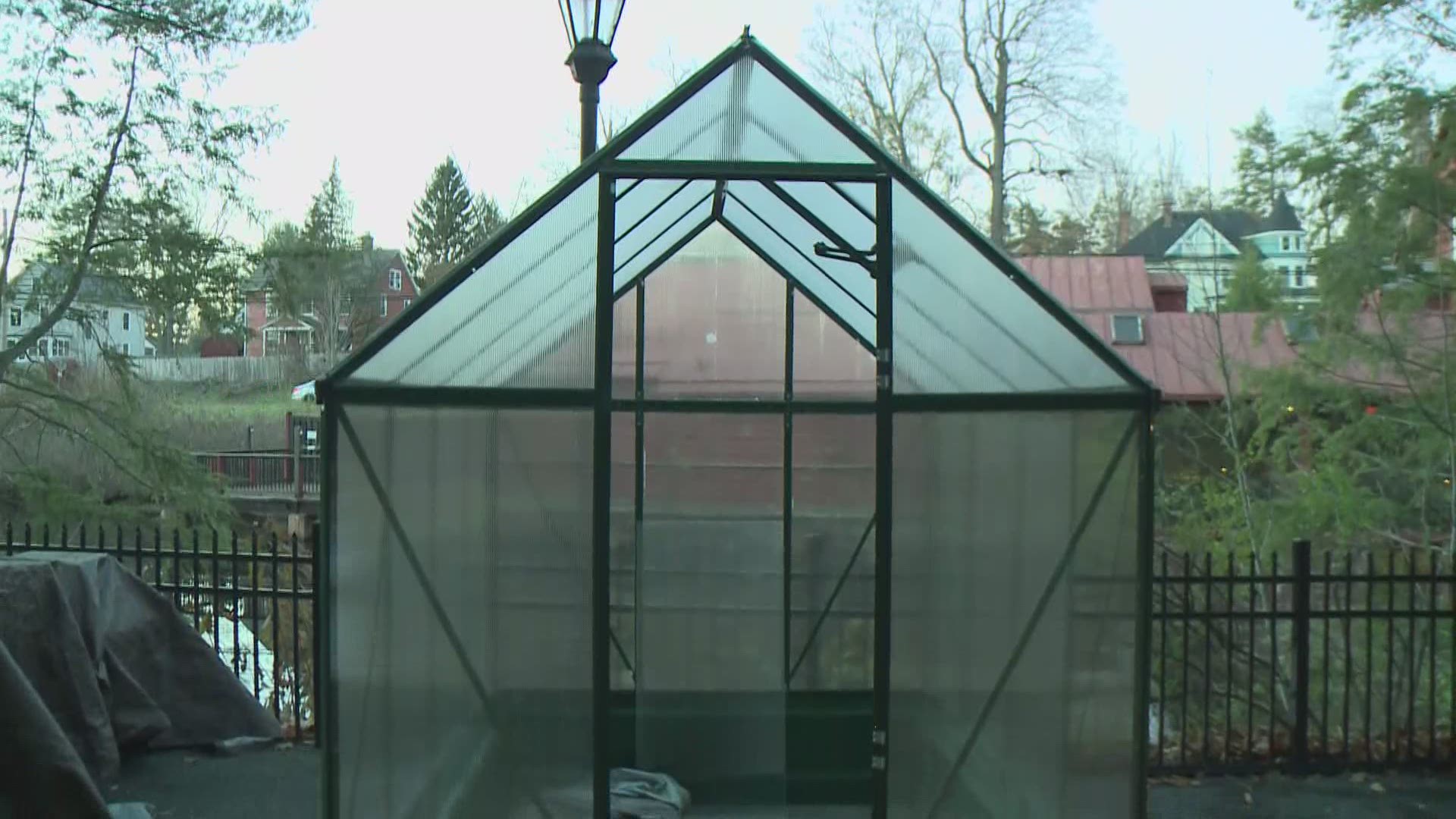 One restaurant has set up "greenhouses" for patrons to eat outside.