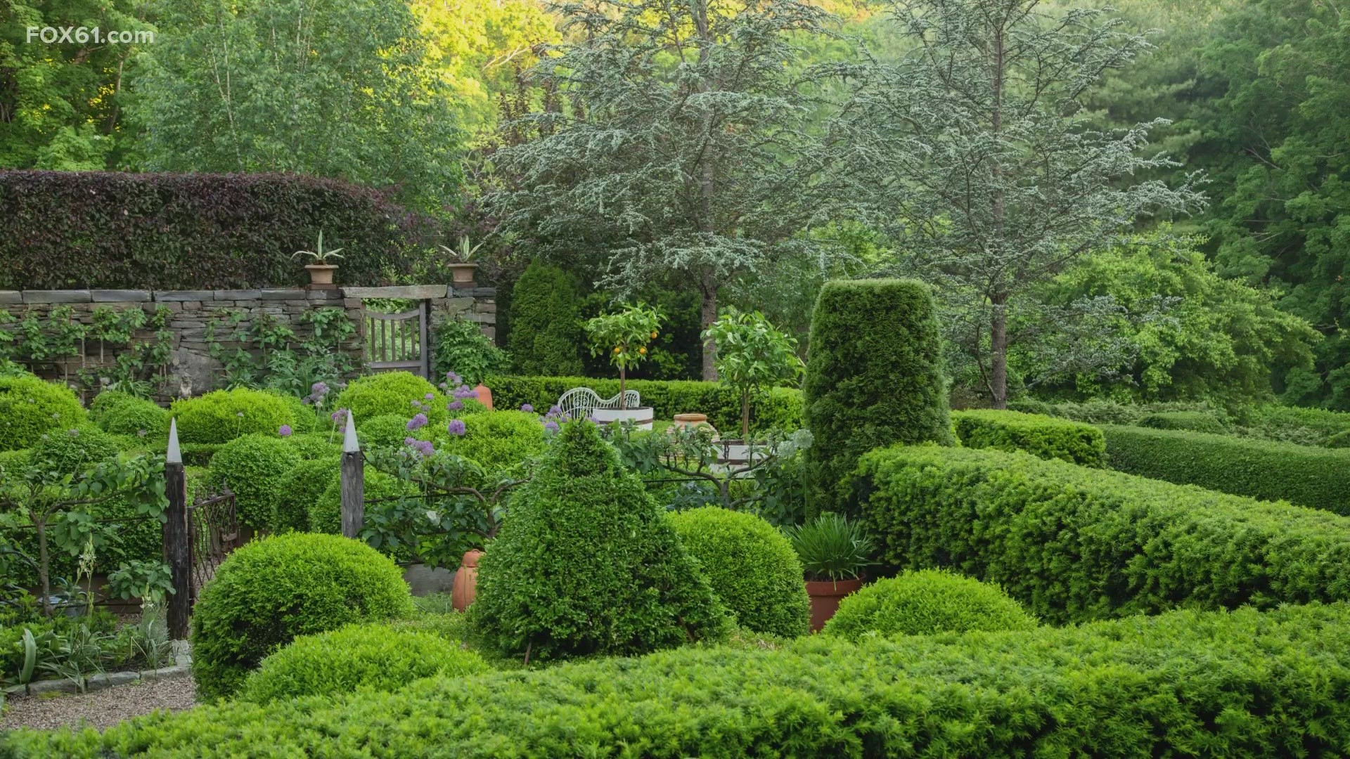 Discover Connecticut's Historic Gardens In New Book | Fox61.com