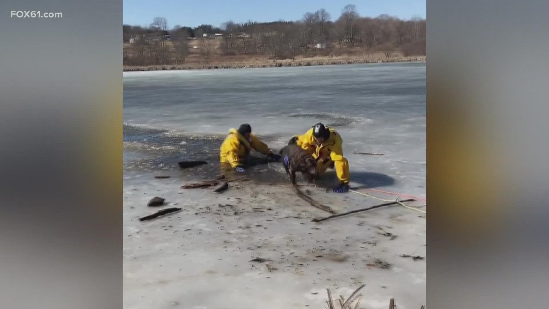 Using ice rescue gear and training, funded by donations from the public, crews successfully pulled the dog out of the water
