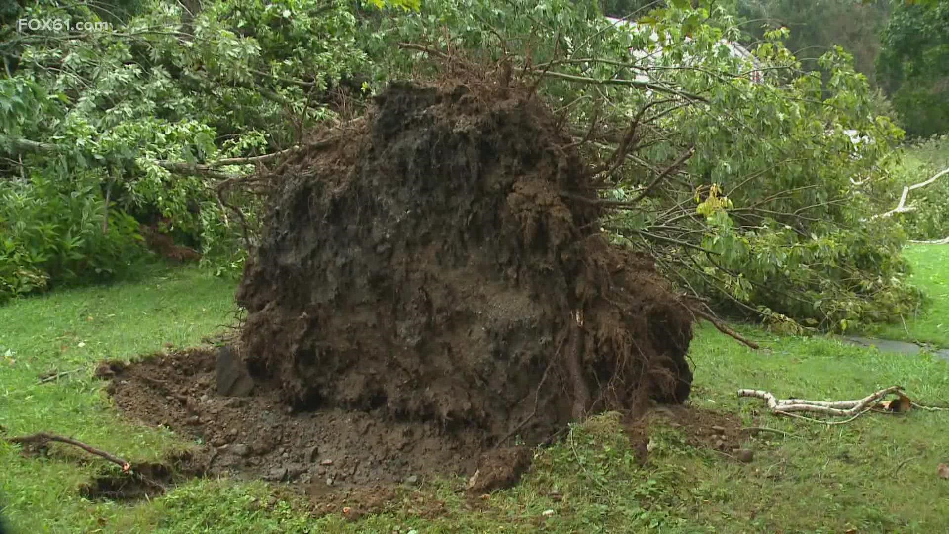 The National Weather Service confirmed an EF0 tornado touched down in Coventry early Thursday morning.