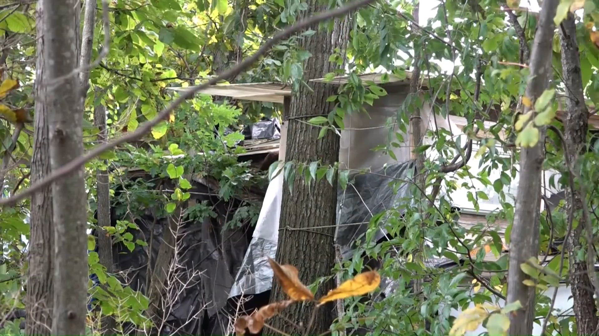 Investigation underway after several 'physical attacks, hate speech ...