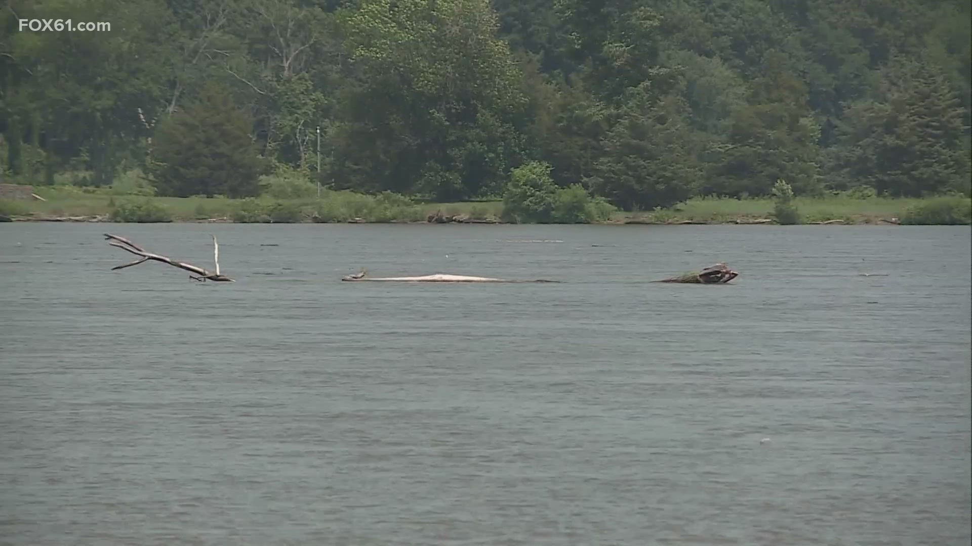 A wet June across New England, and more recently, the flooding rains are to blame.