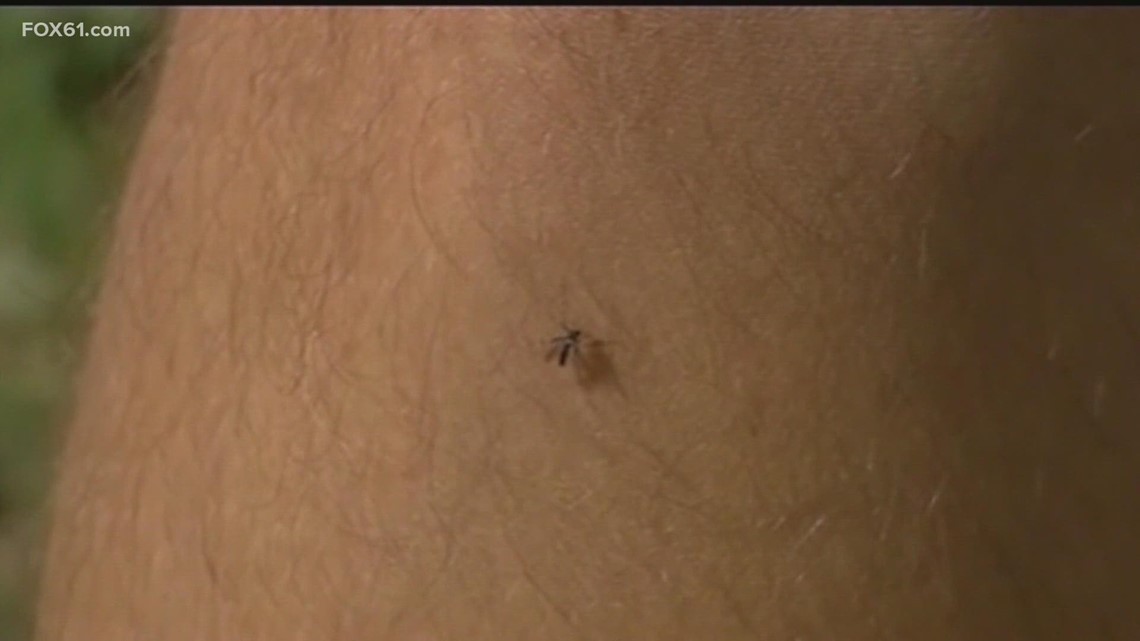 Total Connecticut residents positive for West Nile Virus up to 4: Health officials