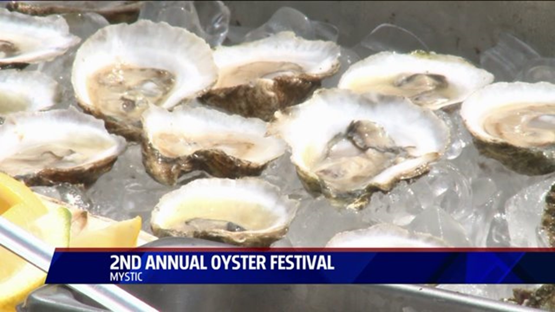 Second Annual Oyster Festival