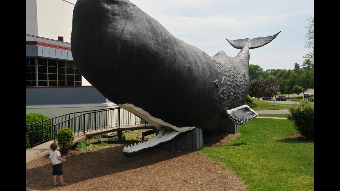 ‘The Children’s Museum’ looking to move from current West Hartford