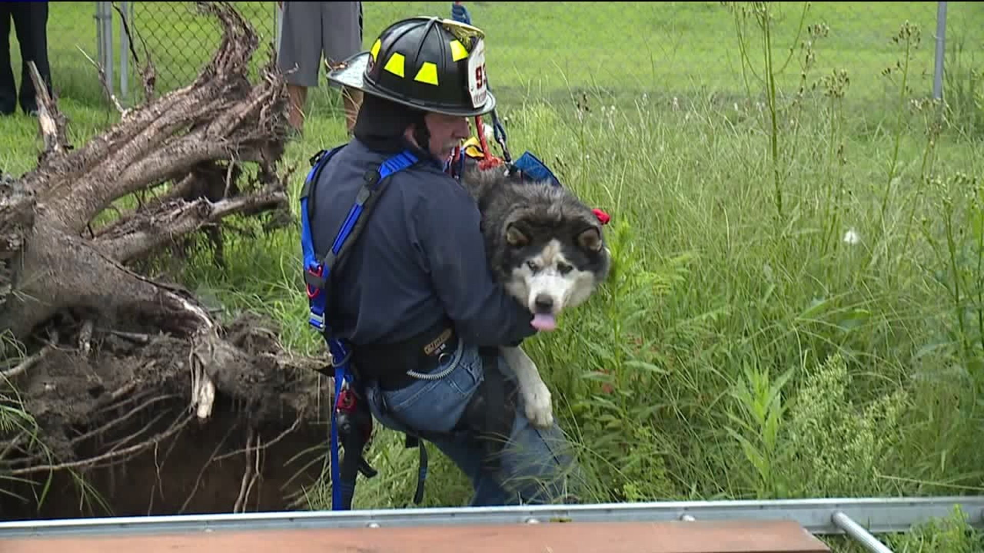 firefighters-rescue-14-year-old-dog-from-sinkhole-in-pennsylvania