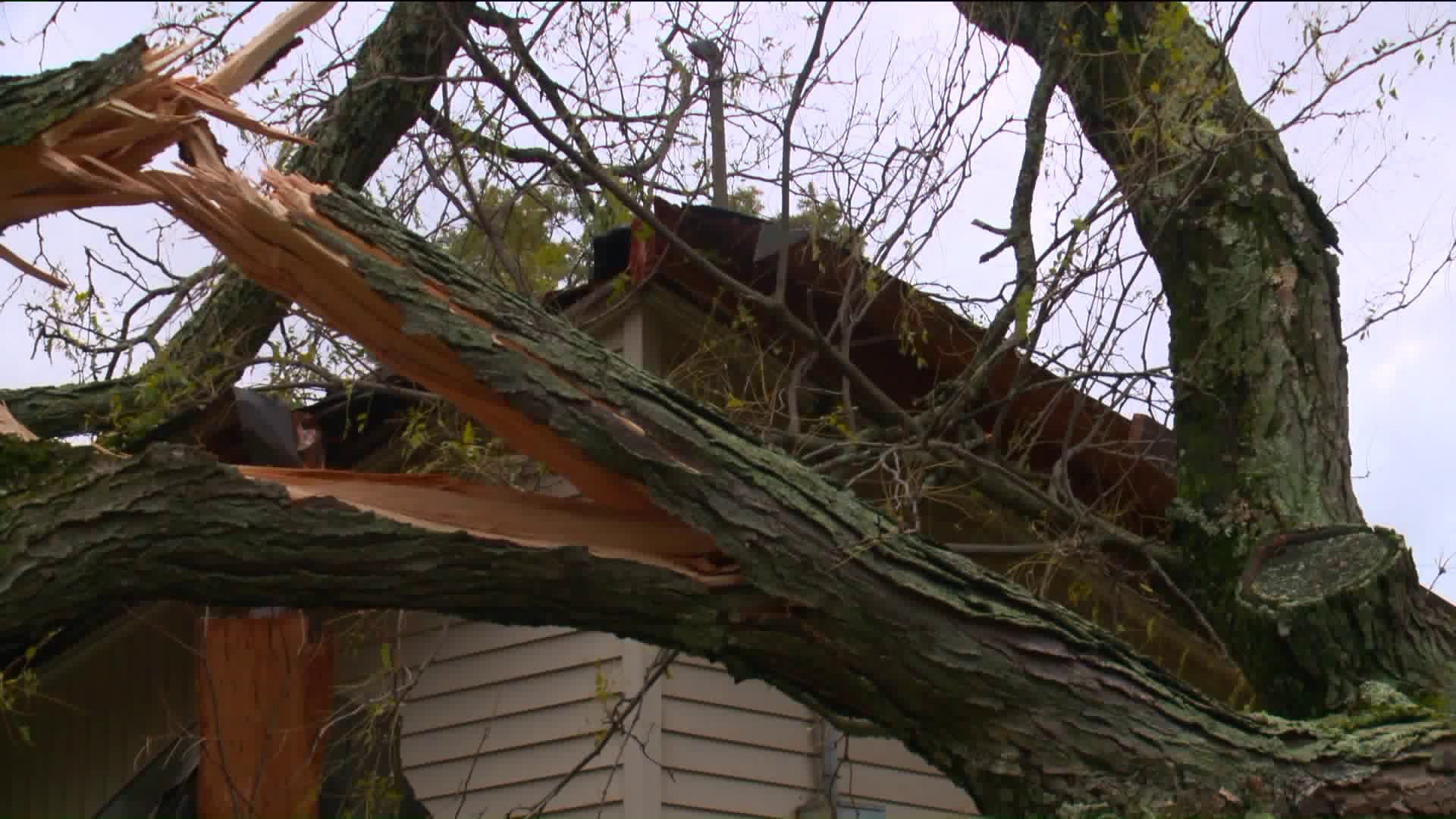 Trail of damage in Vernon