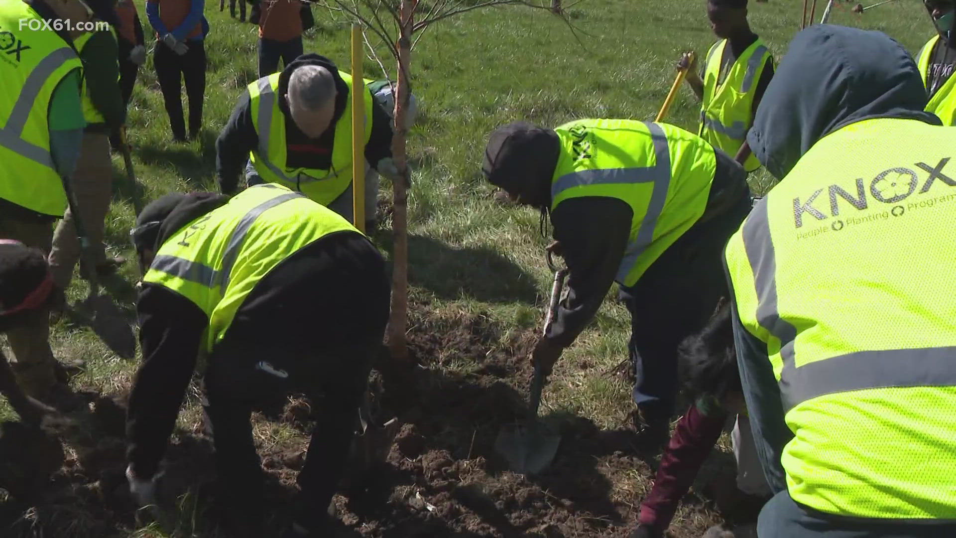 Communities around Connecticut took part in the celebration by planting trees.