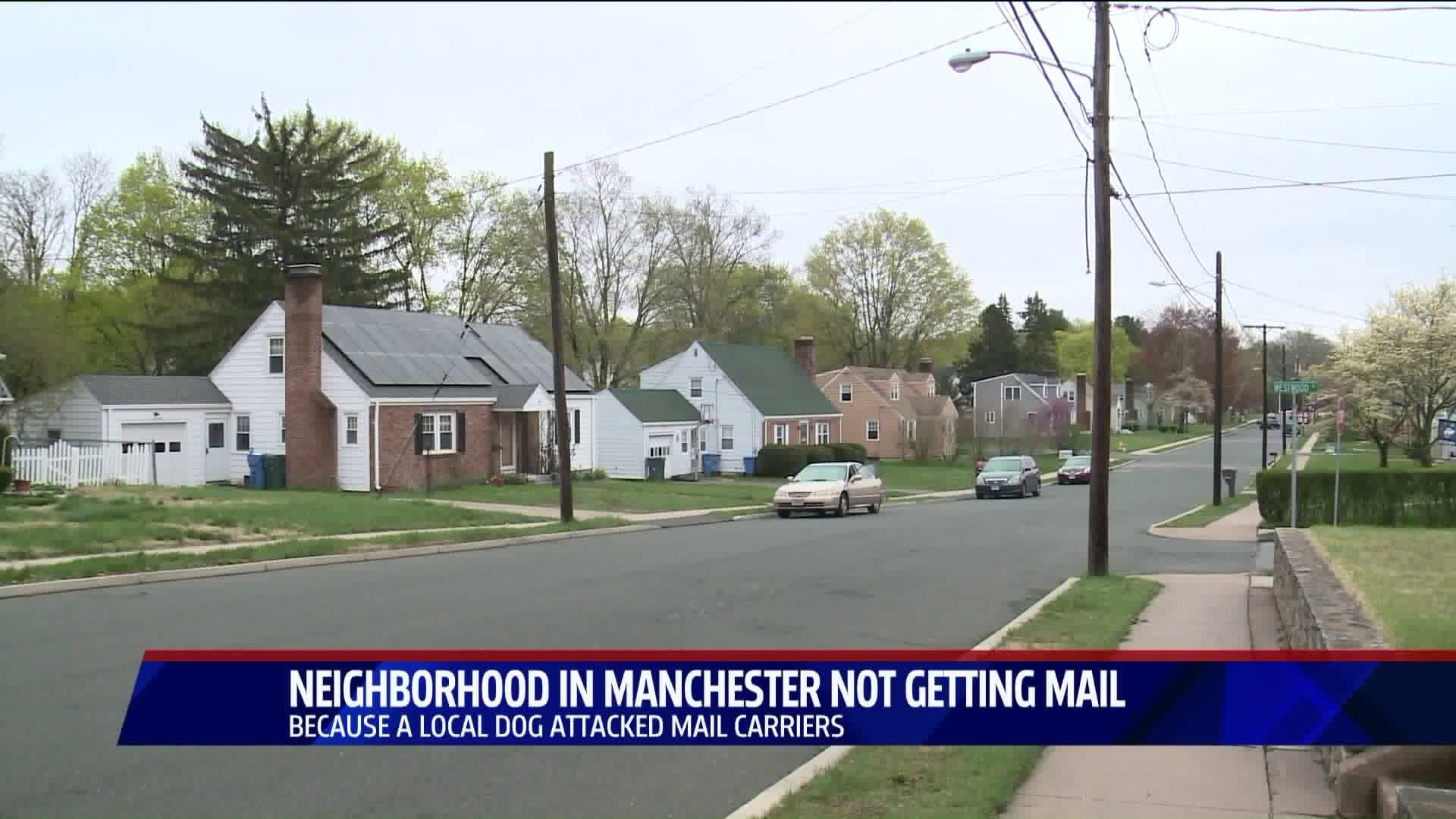 Manchester neighborhood must seek new way to receive mail following dog biting incident