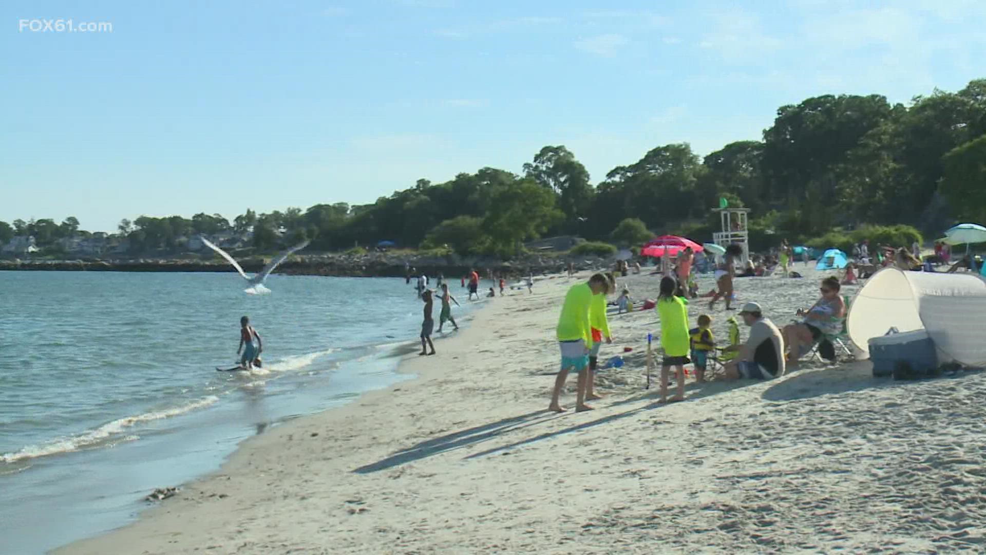 All eight major state parks in Connecticut will have lifeguards to keep watch.