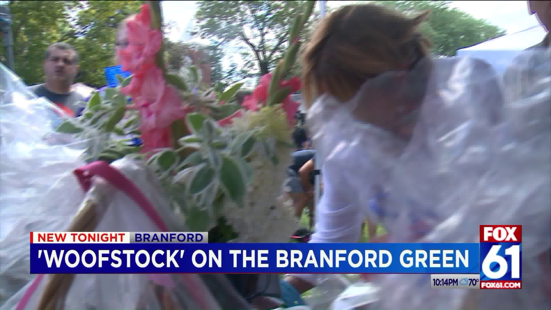 Annual Woofstock on Branford Green held to help local animal shelter