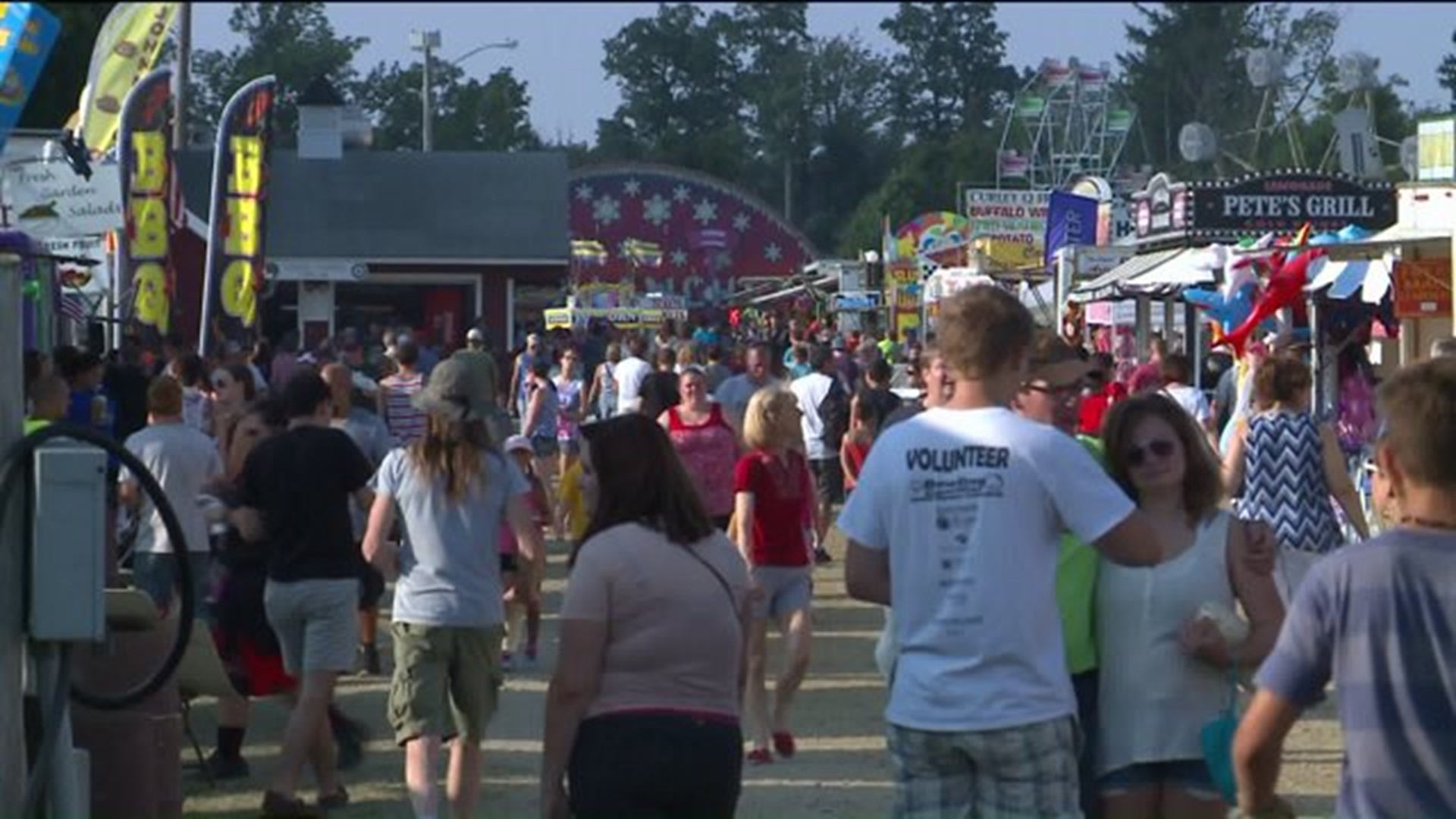 Goshen fair introduces cows, pigs, chickens to thousands of guests