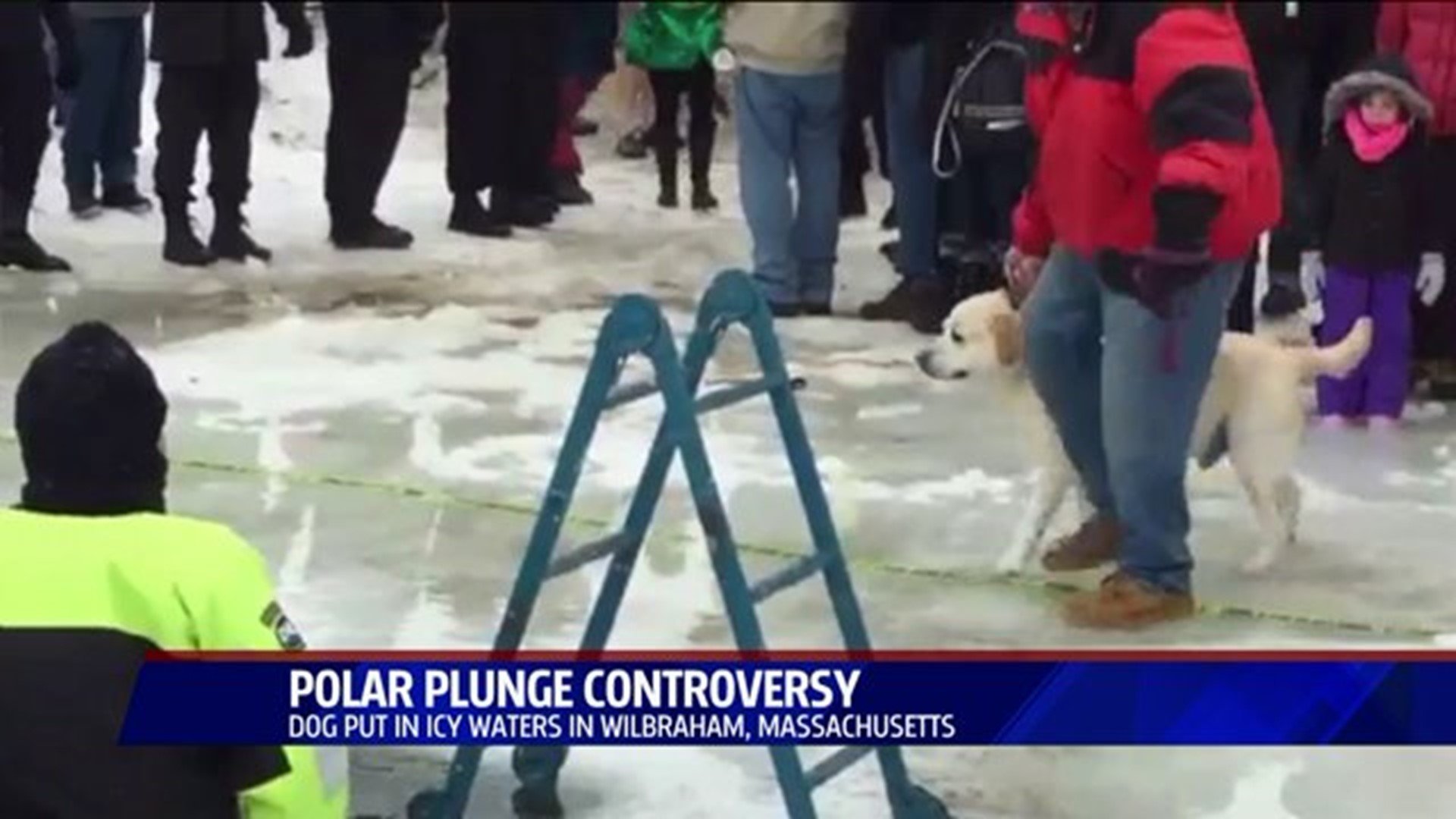 Polar Plunge Controversy