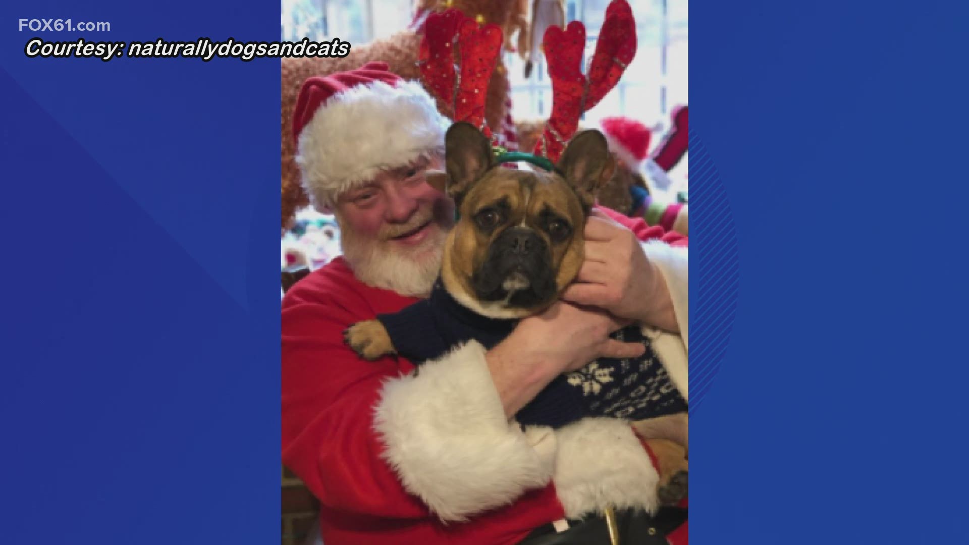 Photos with Santa with a monetary donation that benefits the Enfield dog park.