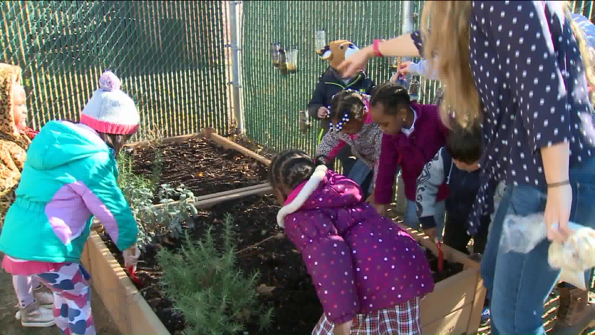 Little Sprouts program sows seeds for sound eating