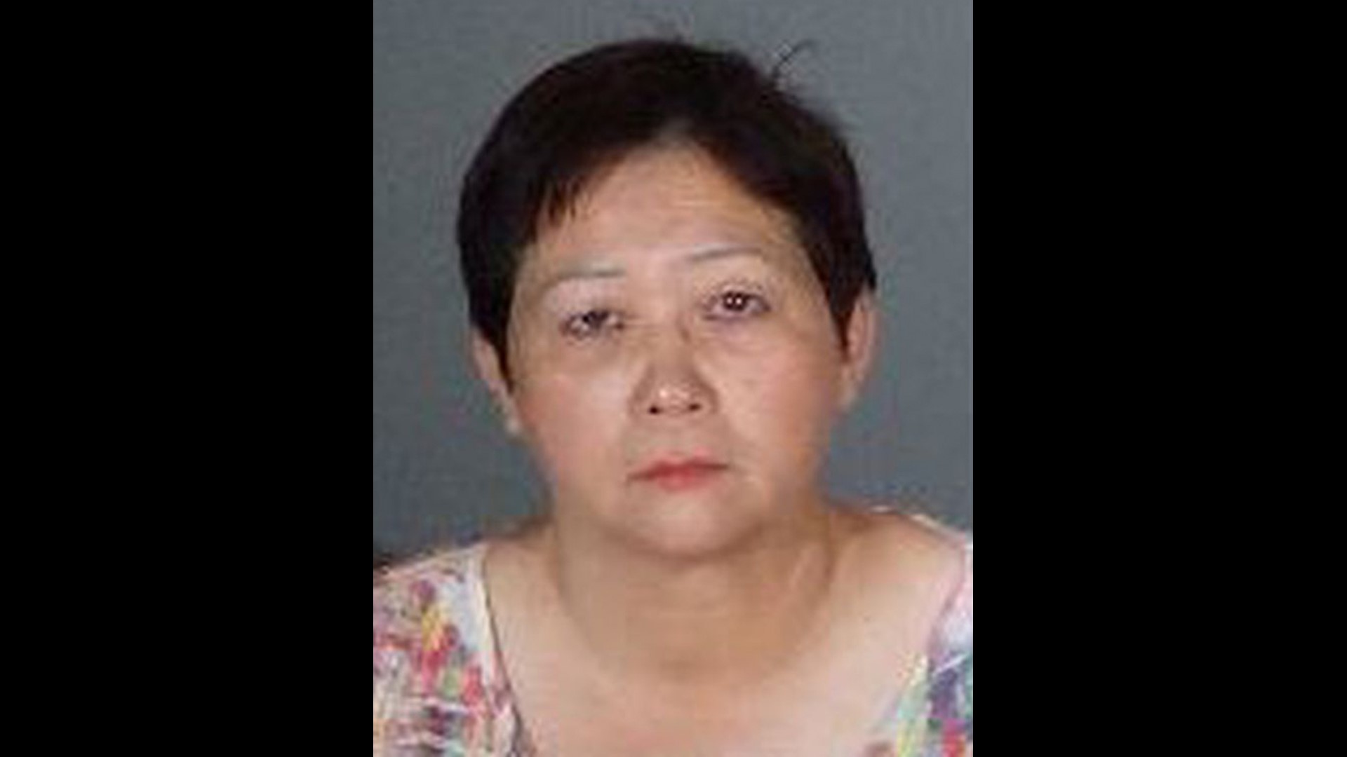 Babysitter left child in 120degree van for two hours to run errands(01)
