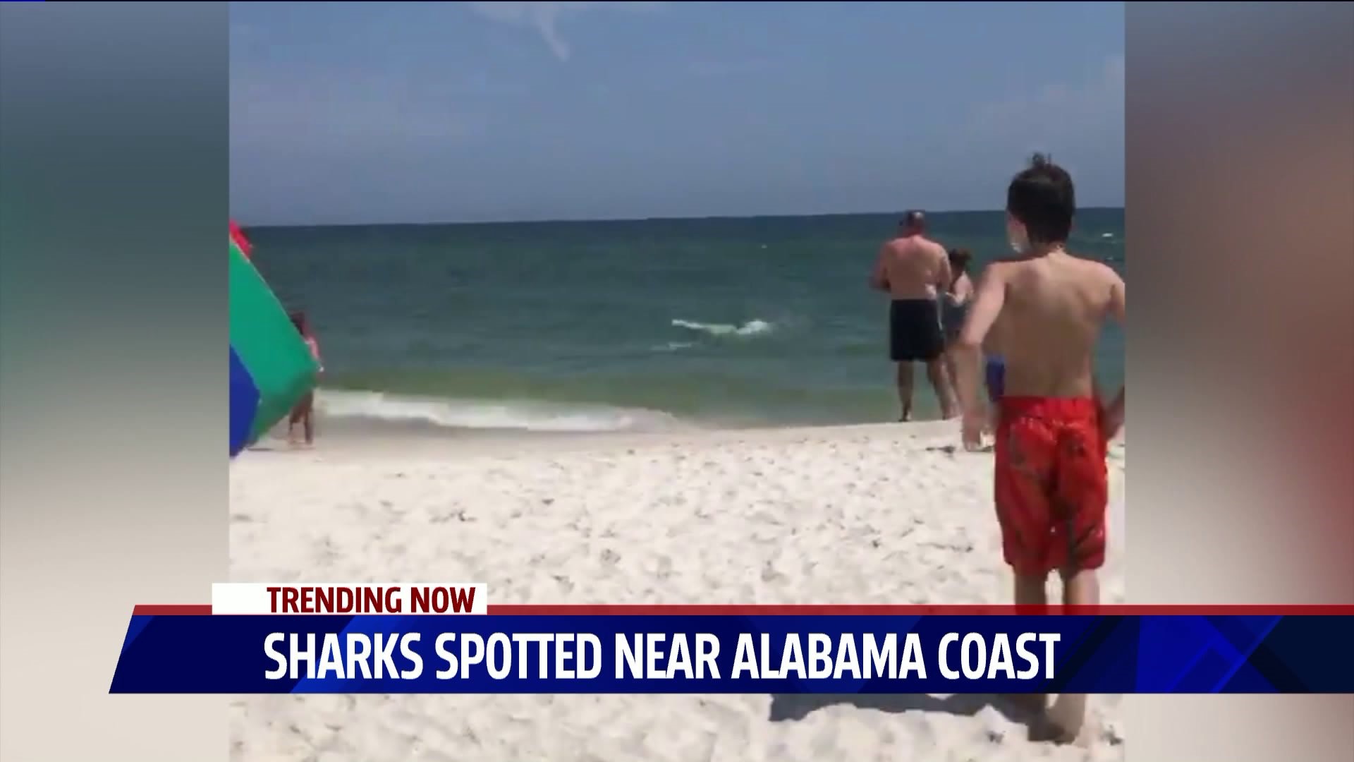 Shark spotted near Alabama coast