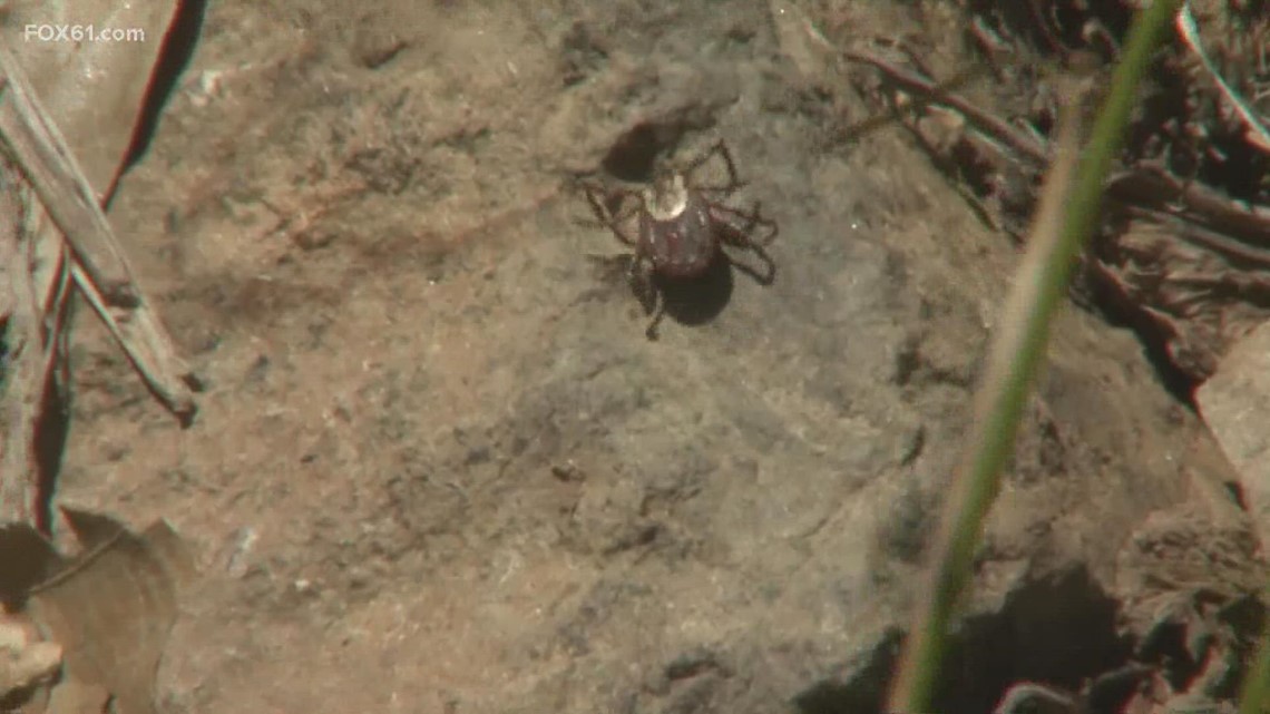Rise in tick population across the state leads to local crews seeing boom in business