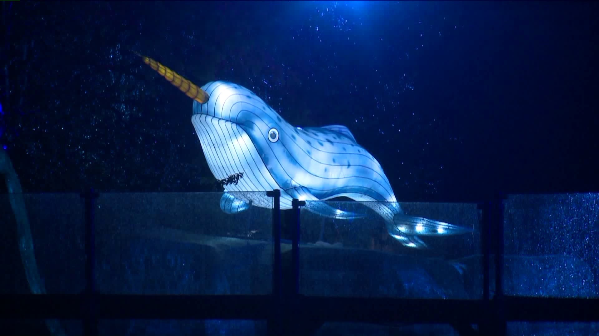 Daytrippers: Northern Lights at Mystic Aquarium