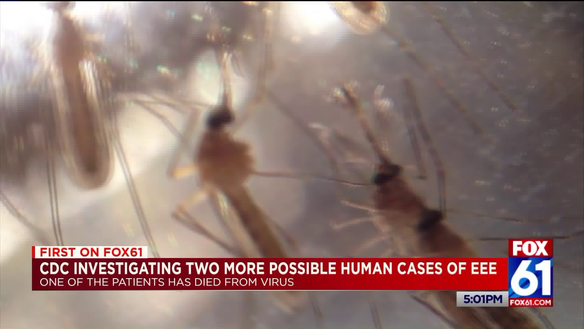 CDC investigation two more possible human cases of EEE