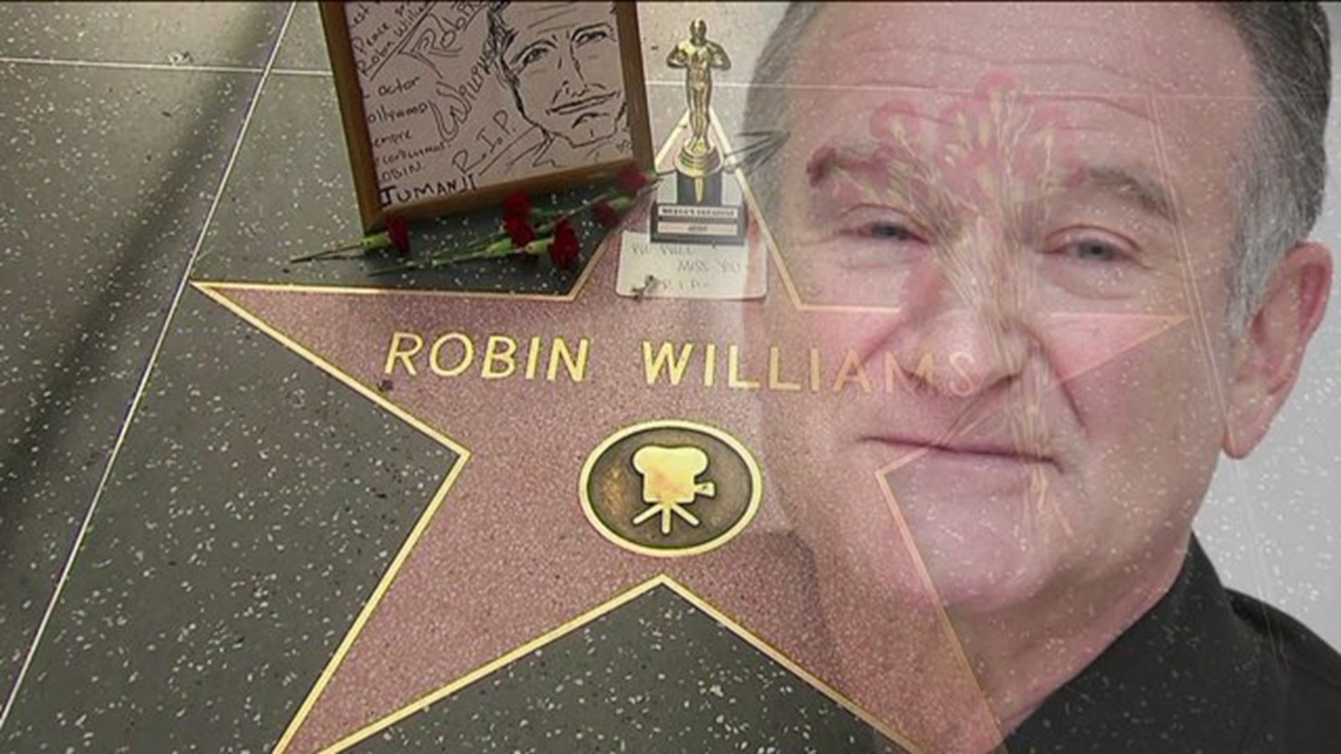 Robin Williams` Death Brings To Light Need For Mental Healthcare
