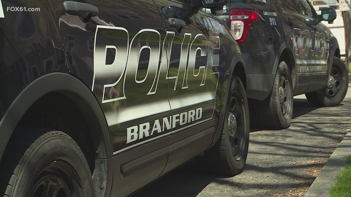 Conn. man arrested for dumping kittens in trash: Animal control - Vimarsana News