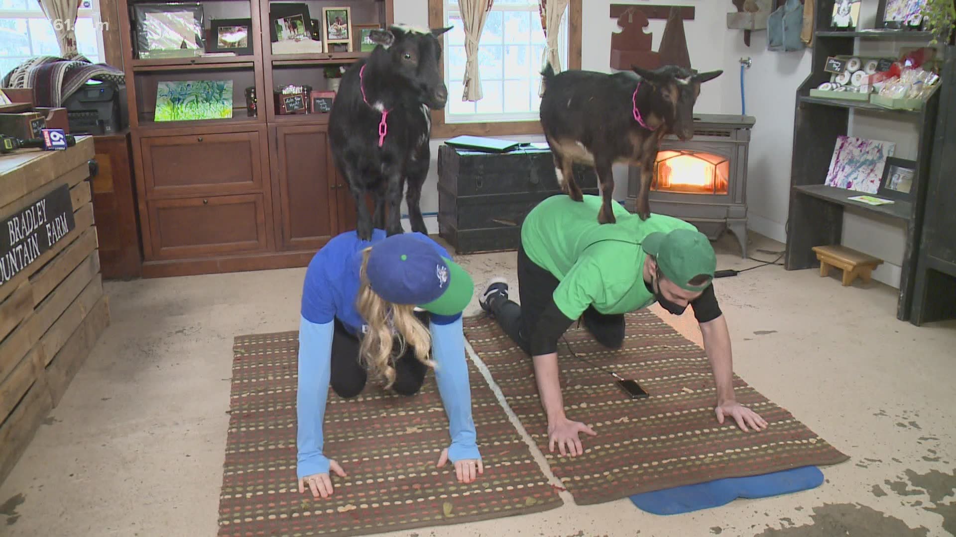This yoga studio though is a little different from a traditional studio, it’s a farm filled with four-legged friends.
