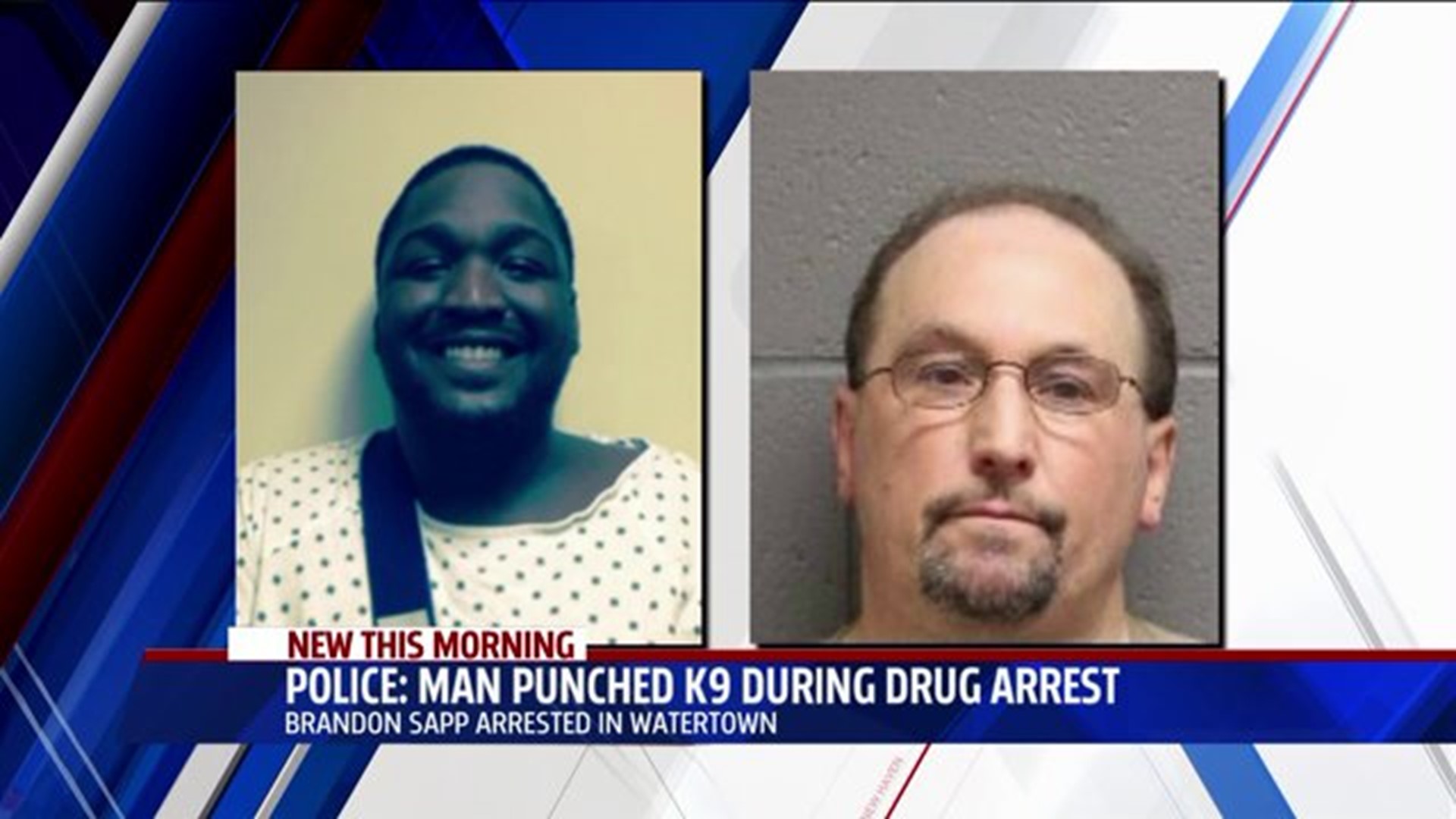 Man Punched K9 During Drug Arrest