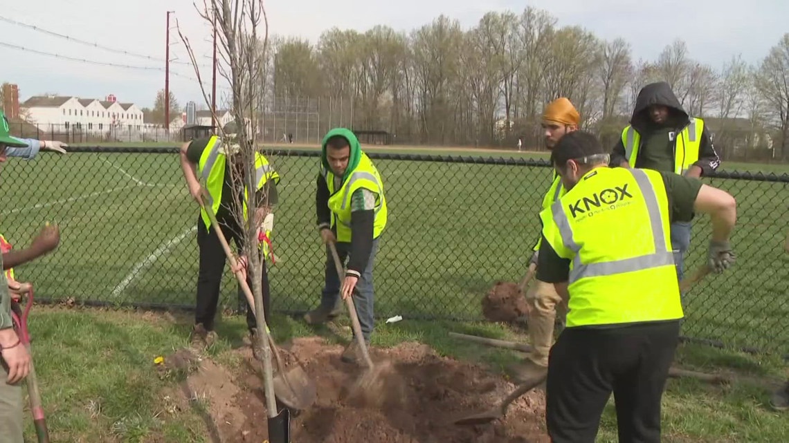 Community members will plant trees across Connecticut to celebrate Arbor Day