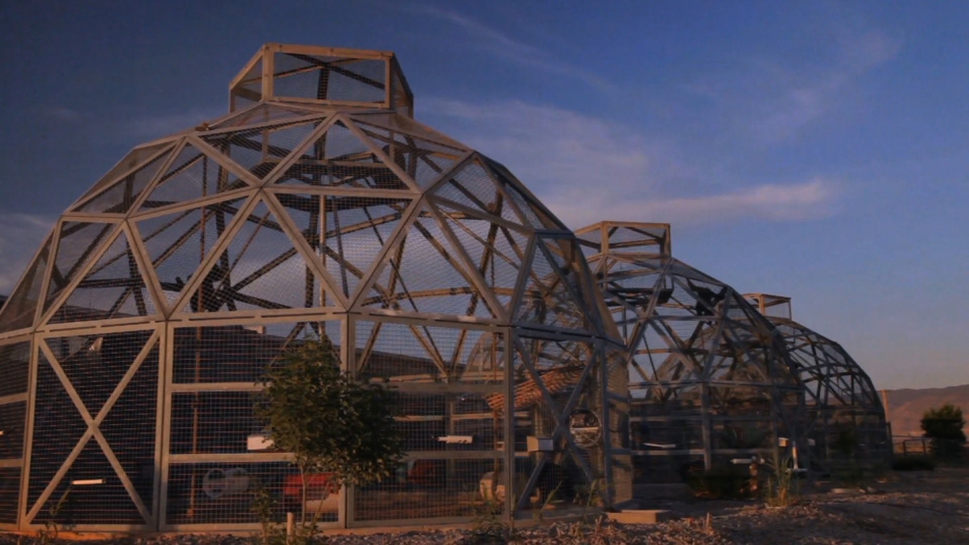 Chimps still stuck in research labs despite promise of retirement