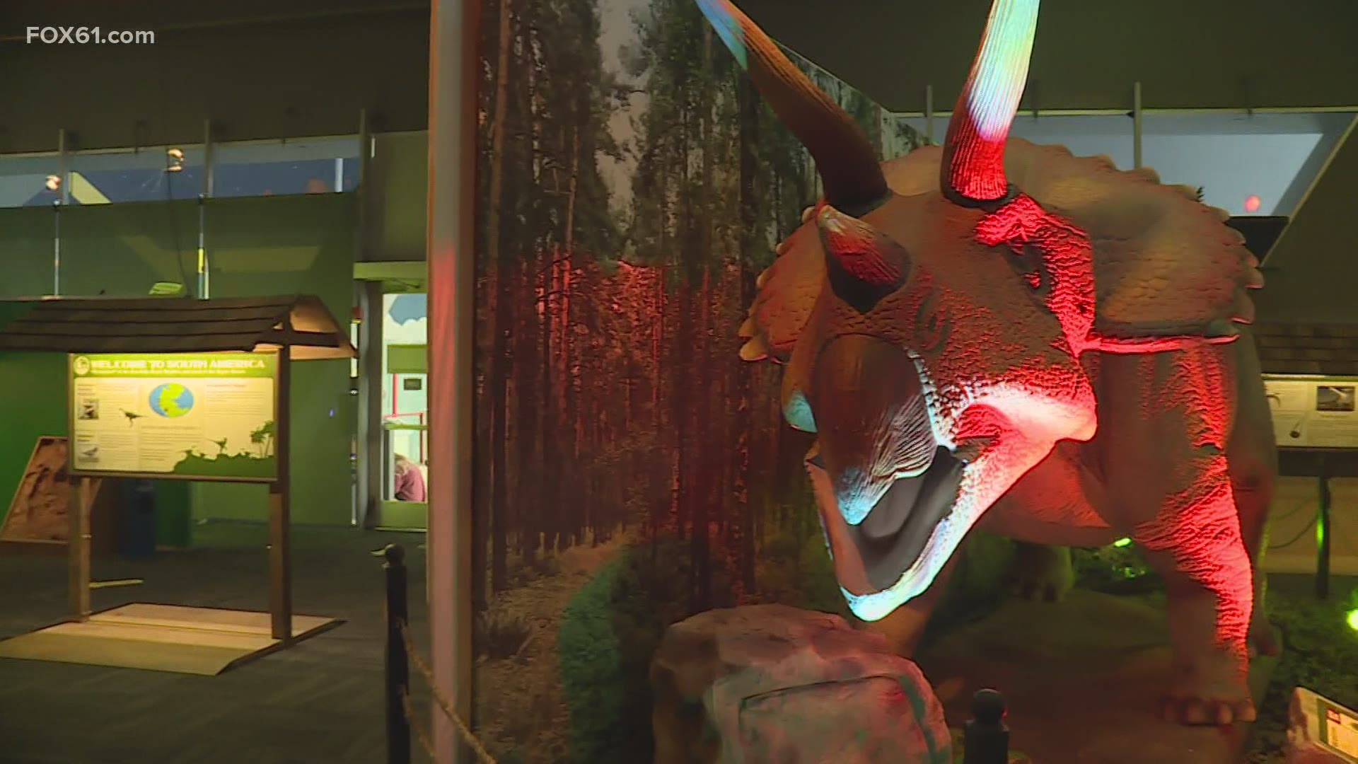The Connecticut Science Center's new exhibit brings the giant creatures to life.
