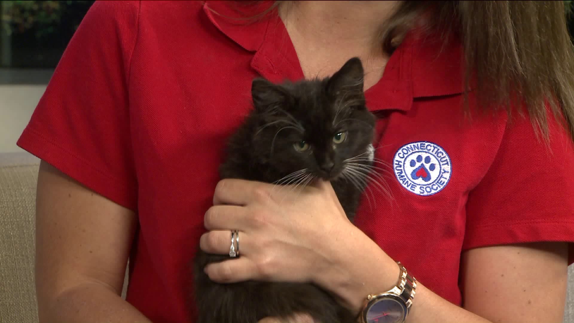 Pet of the Week - Maia