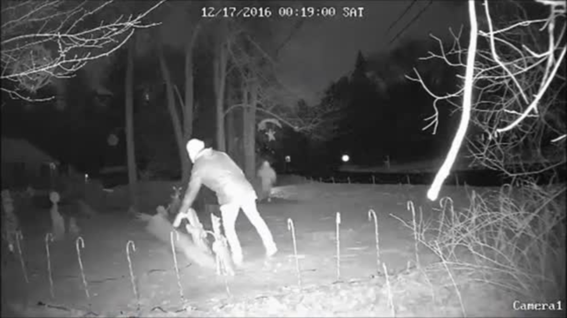 Surveillance video: Simsbury family captures vandals destroying Christmas decorations
