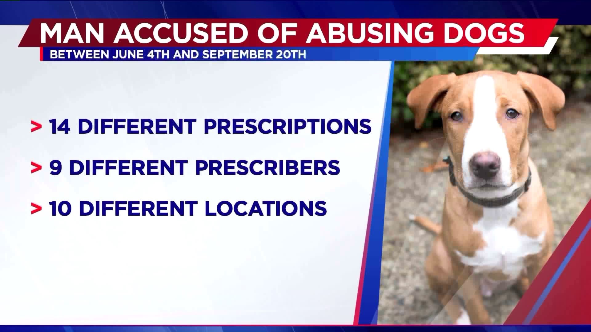 Man accused of abusing dogs