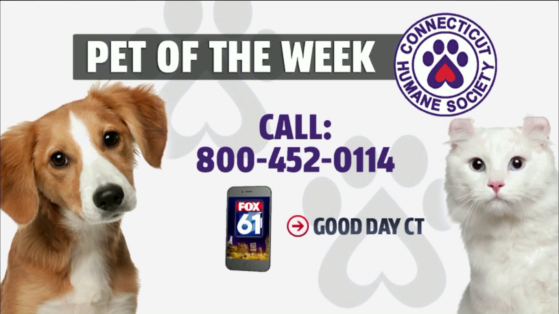 Pets of the Week - Cookie Monster and Captain Crunch
