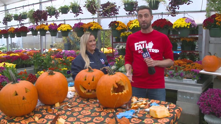 Carving pumpkins at Beaumont Farms in Wallingford