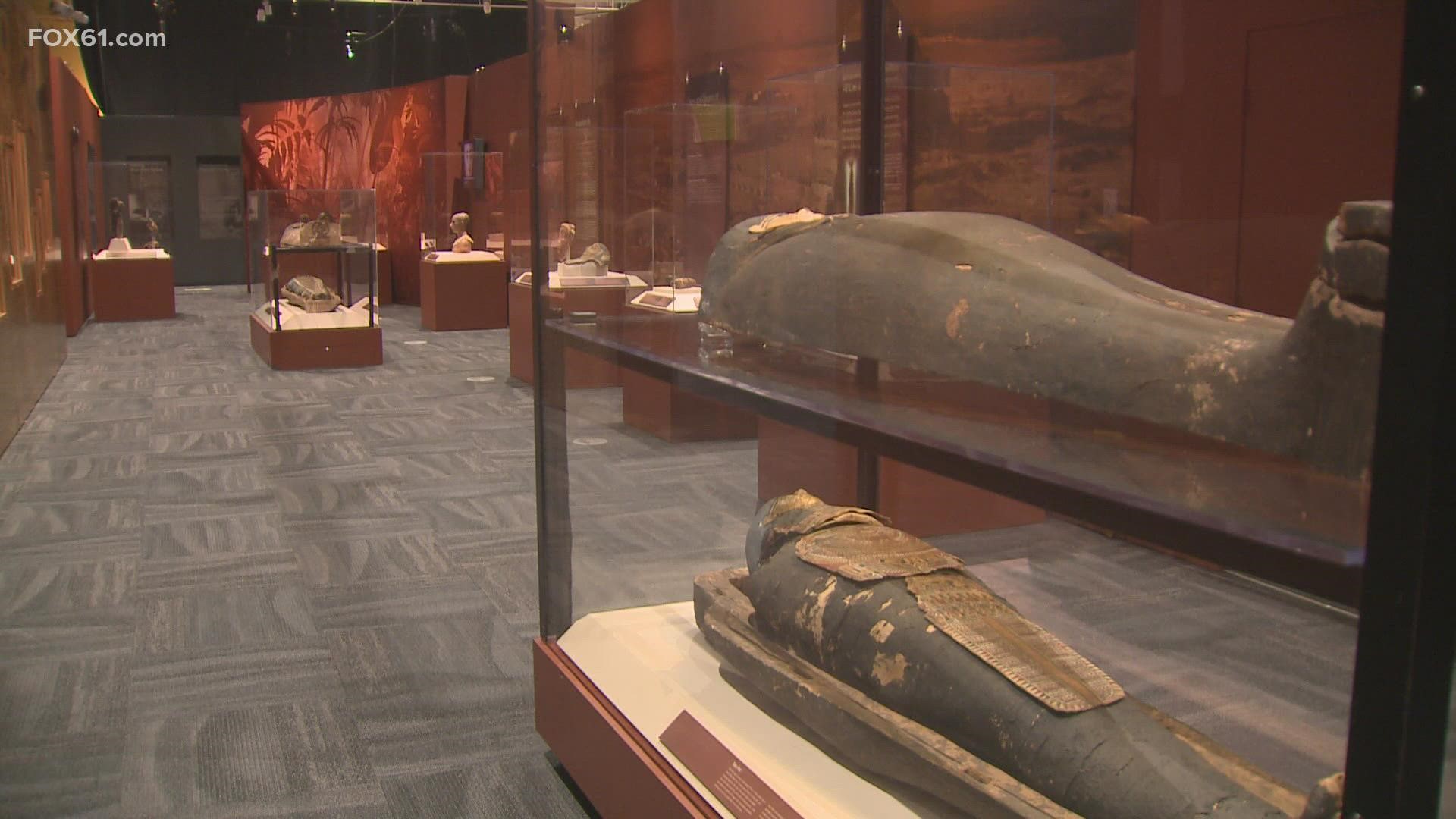 Check out the new mummy exhibit