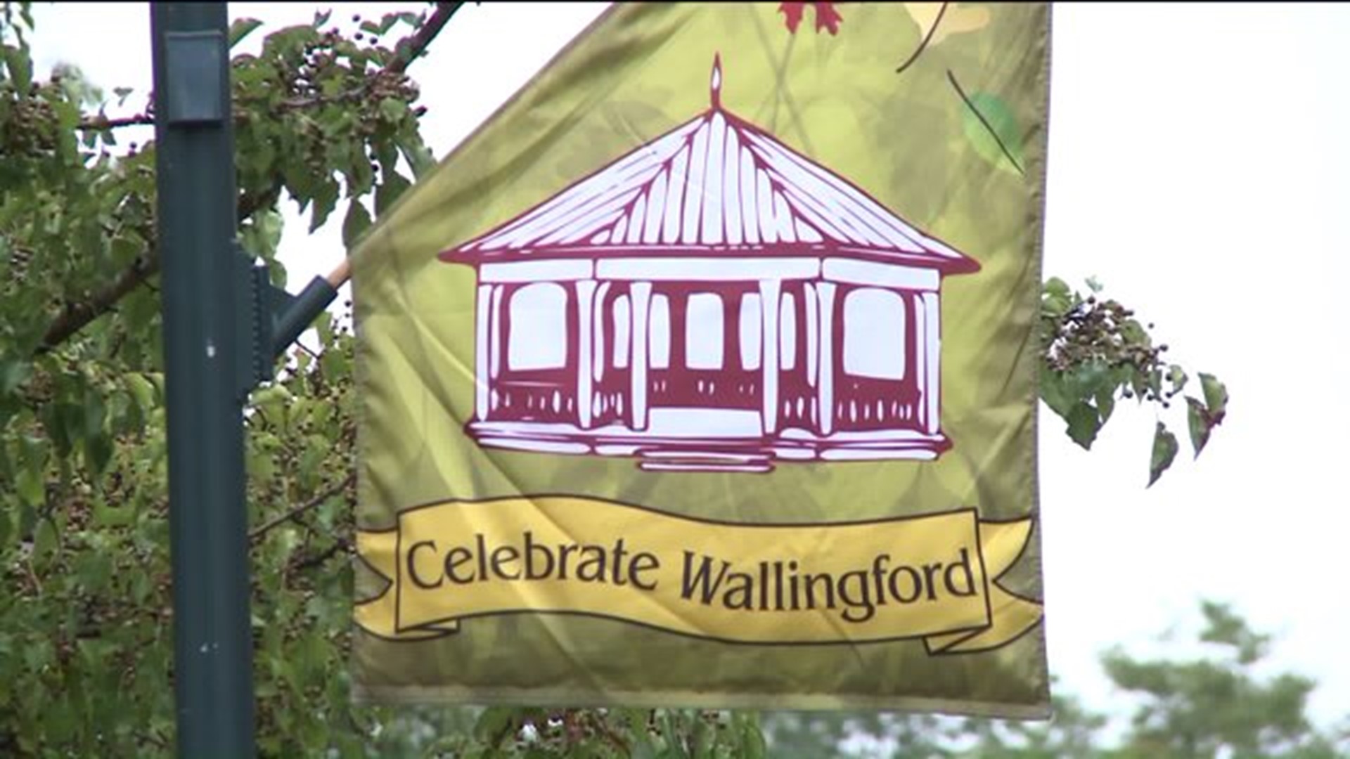 Wallingford residents despair cutting down of pear trees