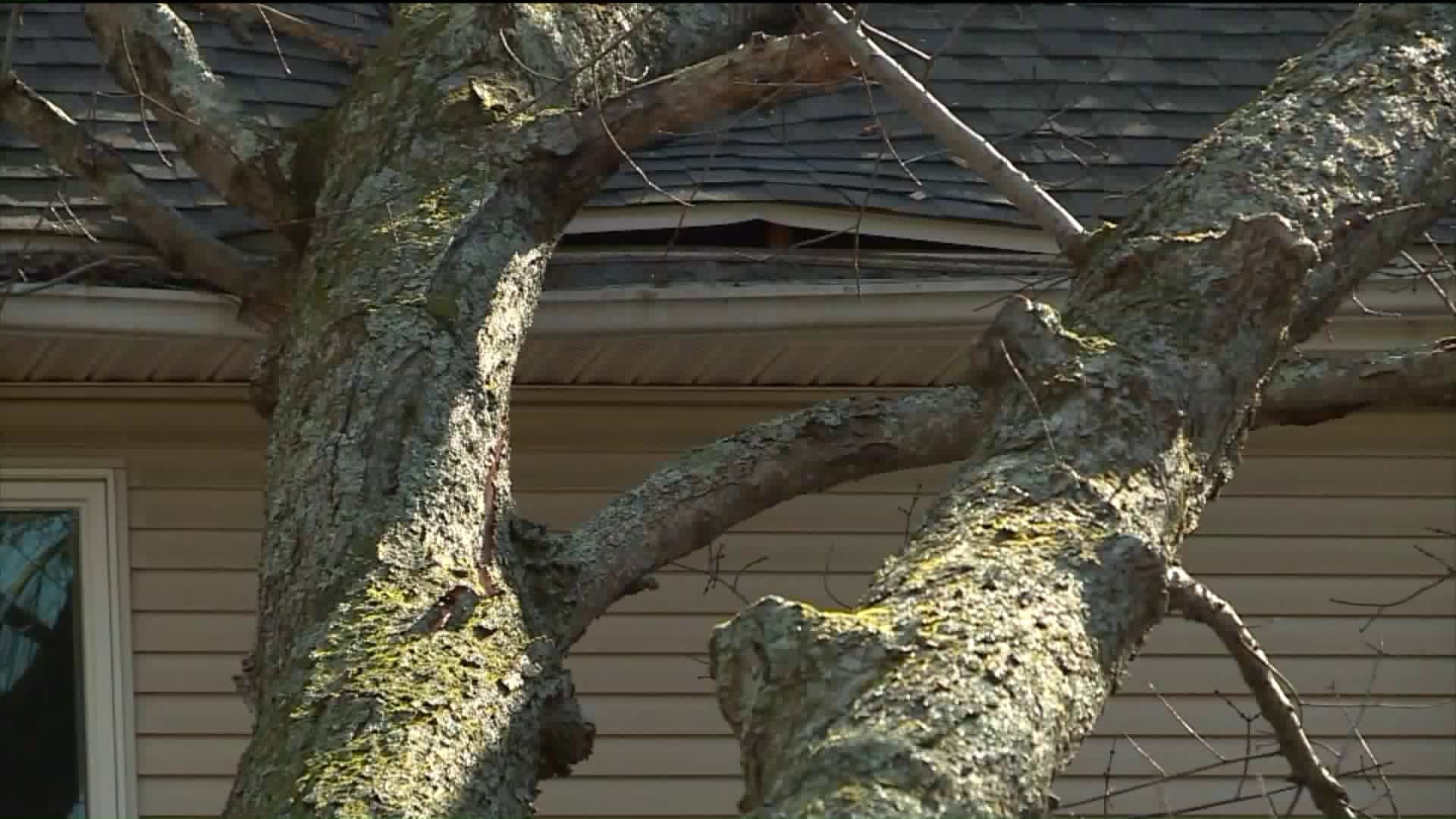 Connecticut homeowners cleaning up after scary Halloween weather