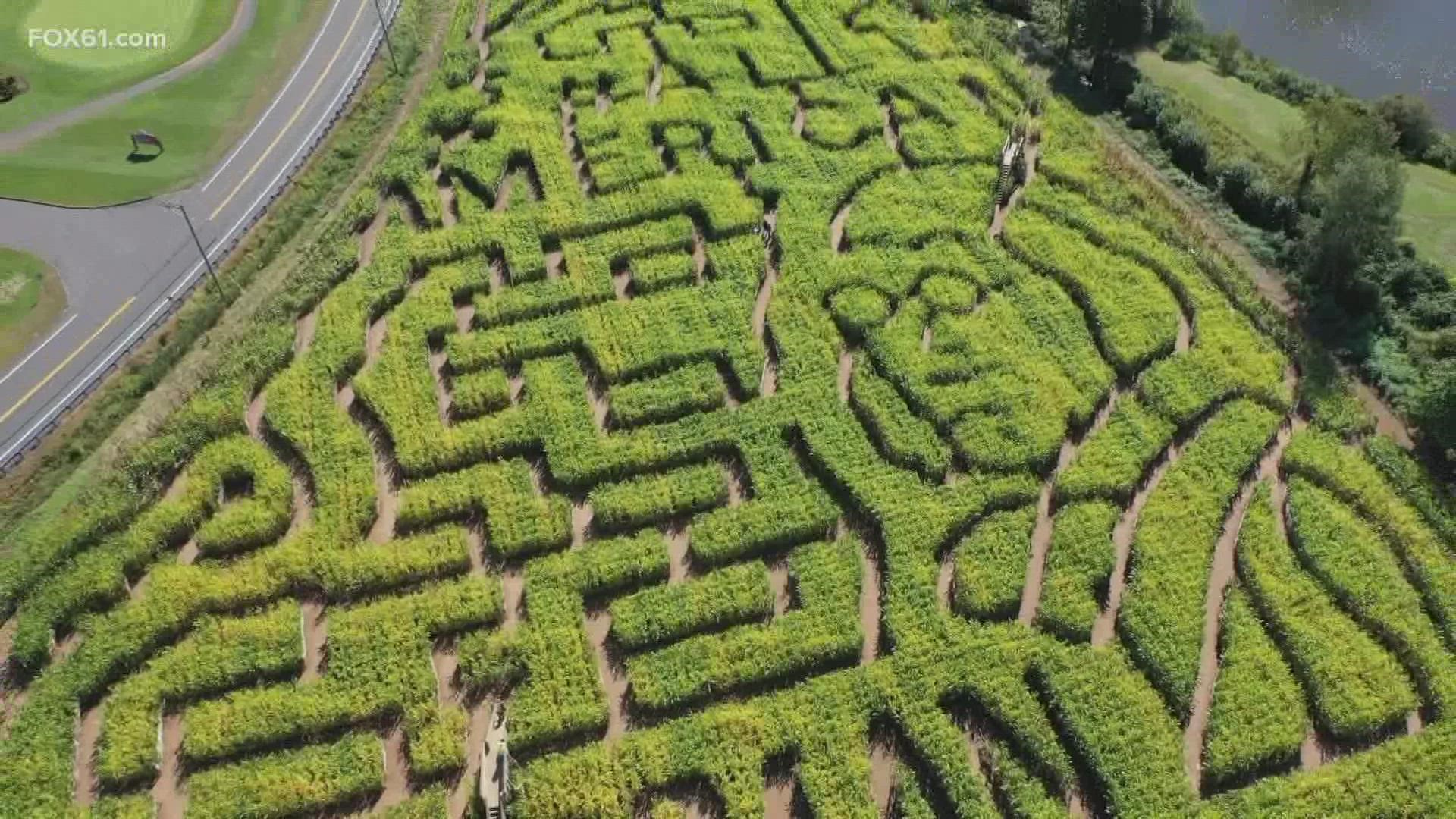 A Fall favorite, the Lyman Orchards Corn Maze is now in its 23rd year. Each year the team at Lyman Orchards tries to outdo the year before.