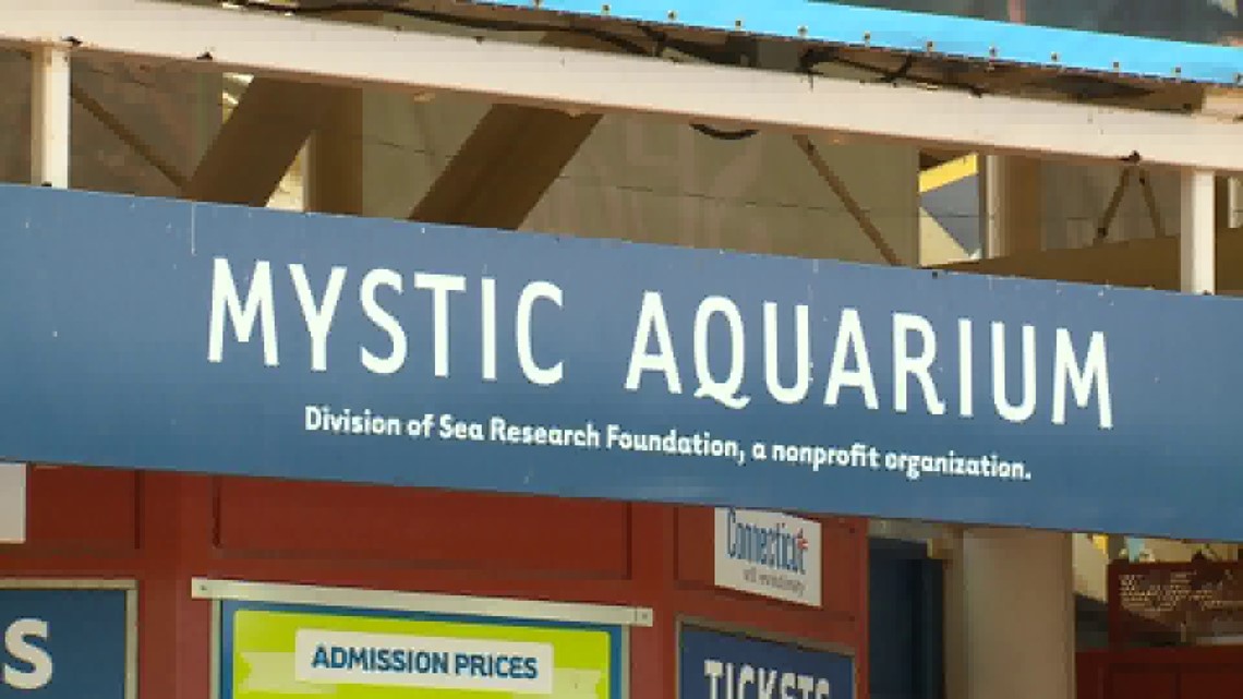 Mystic Aquarium to hold holiday lights display