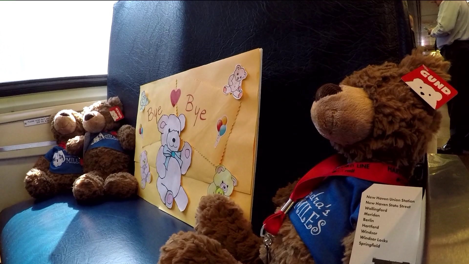 Bears on a train to help kids in the hospital