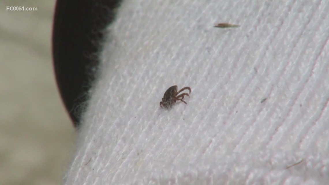 Yale University in early stages of Lyme Disease vaccine