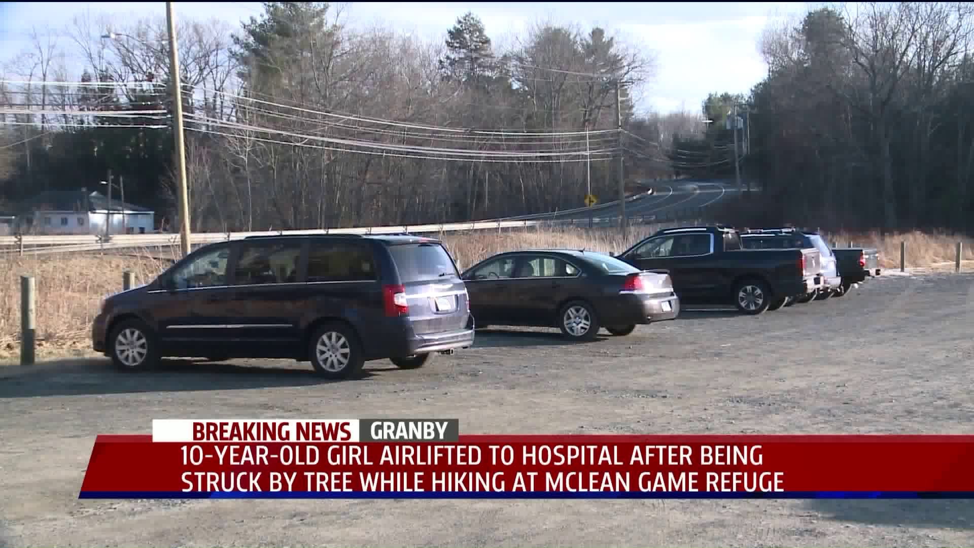 Granby girl injured by falling tree