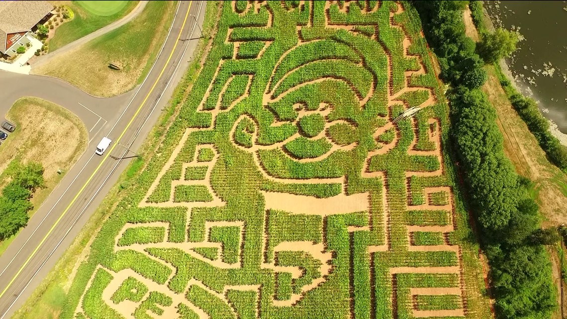 Daytrippers Lyman Orchards Corn Maze opens