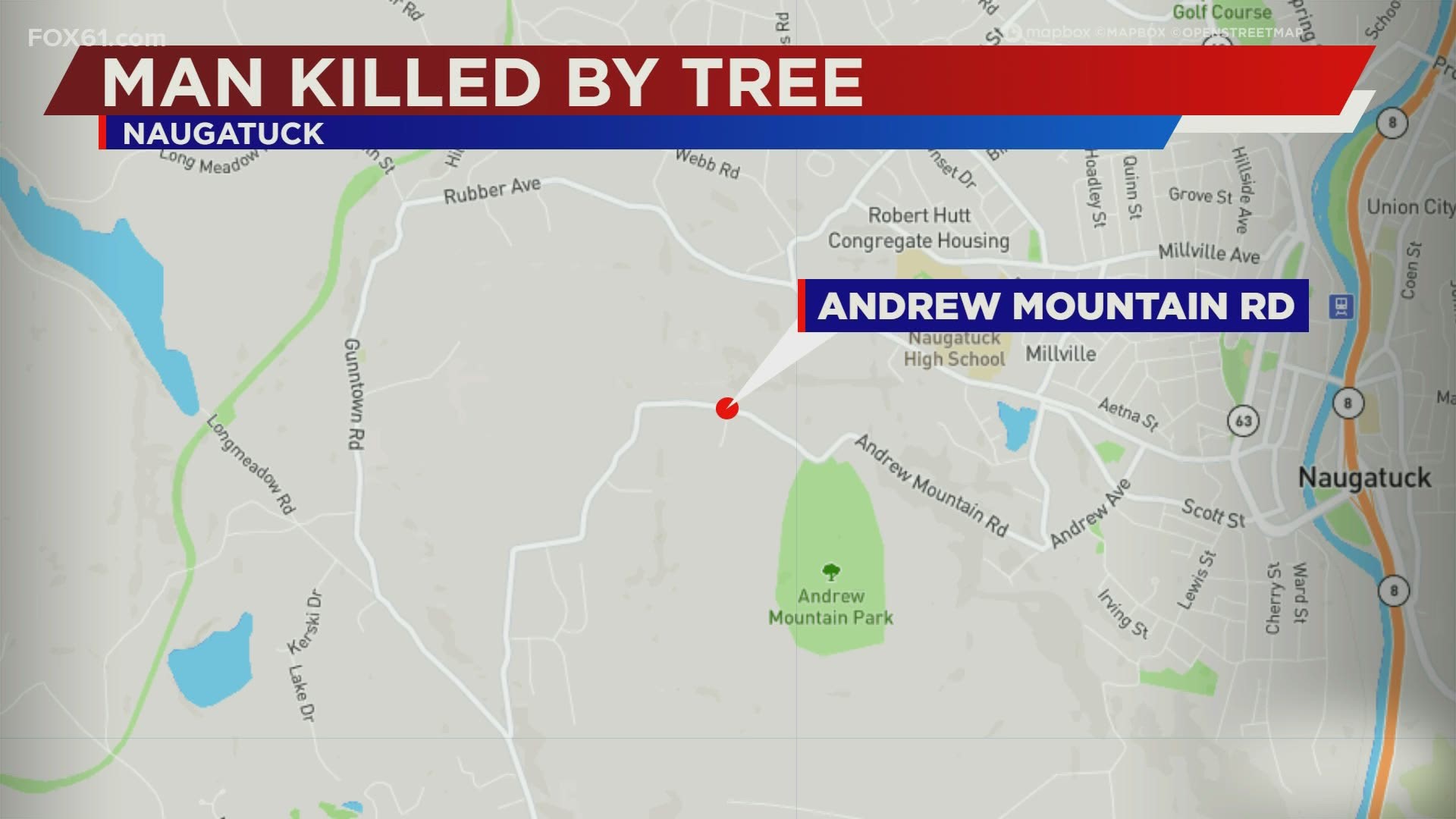 Police responded to the area of Andrew Mountain Road and Red Maple Court just after 3:30 p.m. to an incident where a man tried to move branches from the road.