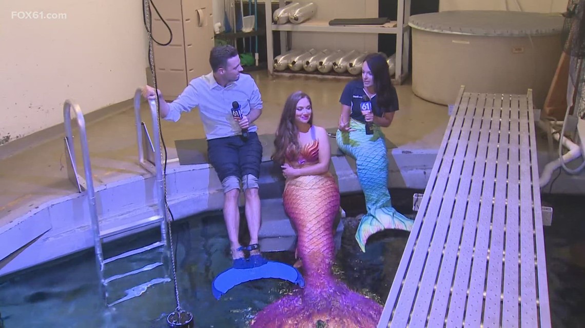 Mystic Aquarium debuts traveling mermaid exhibit