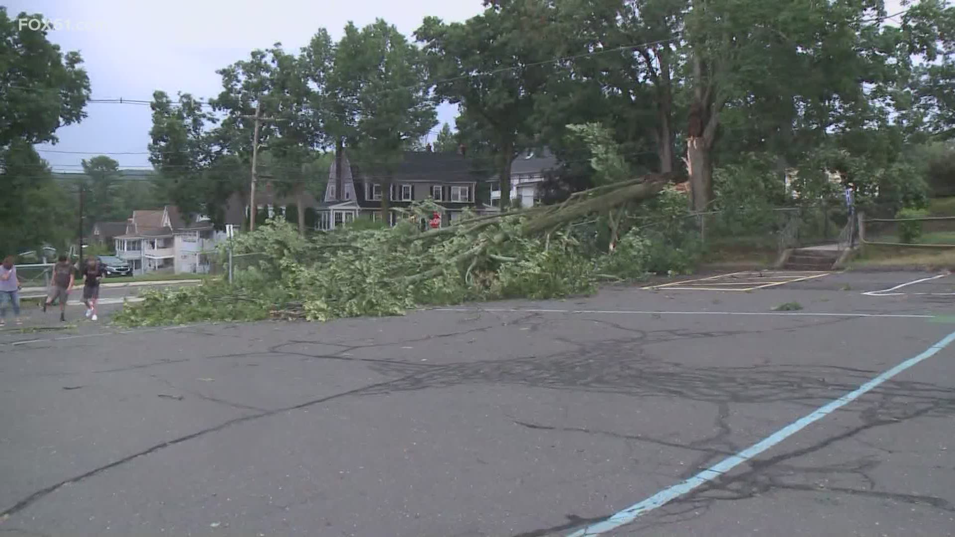The storms swept across Connecticut on Tuesday evening. Trees and branches were knocked over.